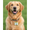 Hundemarke mit QR-Code und Lasergravur Knochen fluoreszierendem Silikon - Individuell gravierbar und Schweizer Datenplattform